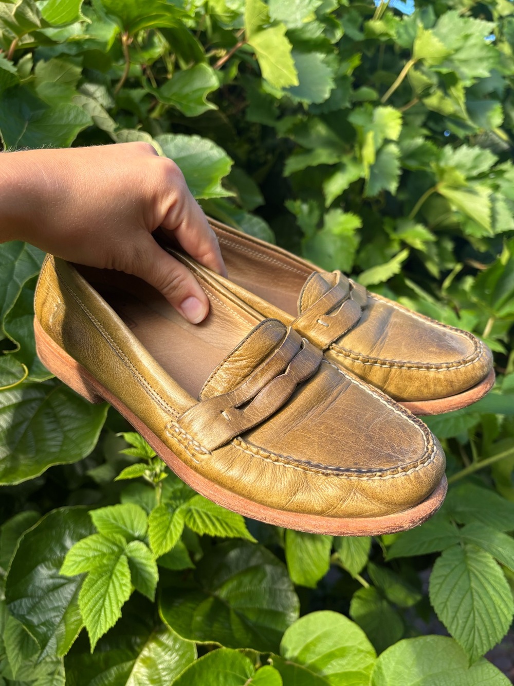 FRYE Women’s Green Leather Penny Loafers